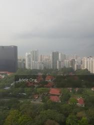 Forte Suites (D8), Apartment #138798882